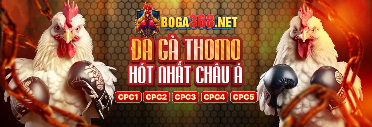 Tổng quan về đá gà trực tuyến U888VIP0